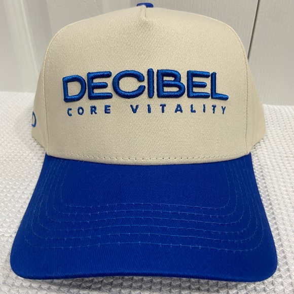 Other - Decibel Core Vitality Snap Back Hat NWOT